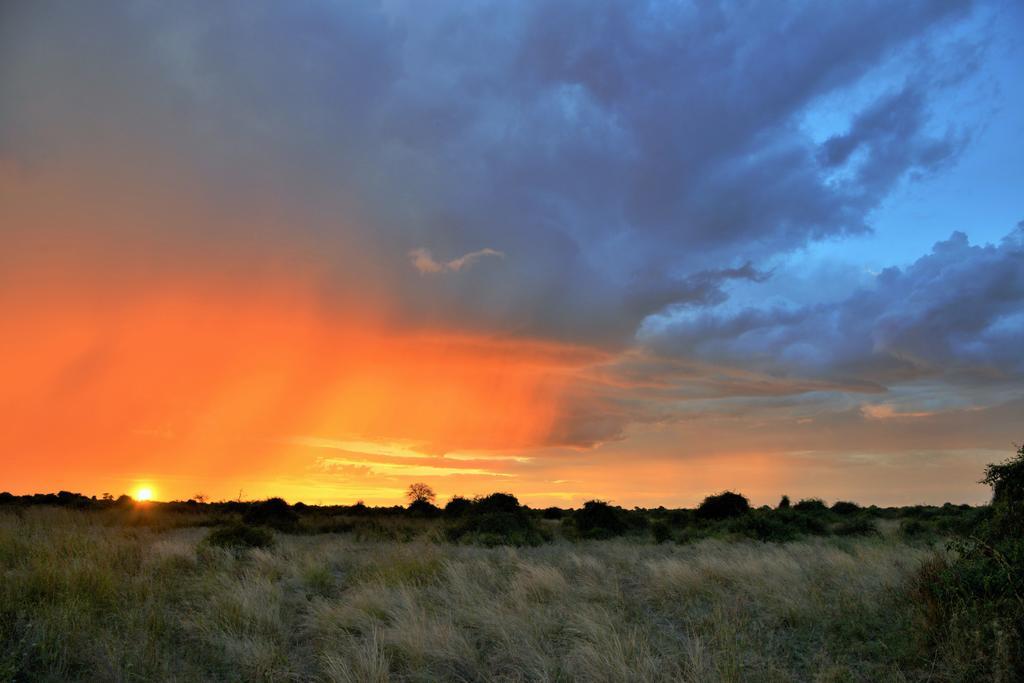 Thebe River Safaris Касане Экстерьер фото